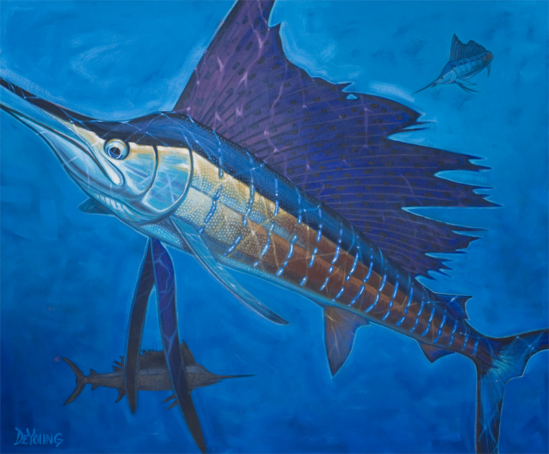 sailfish-deepblue