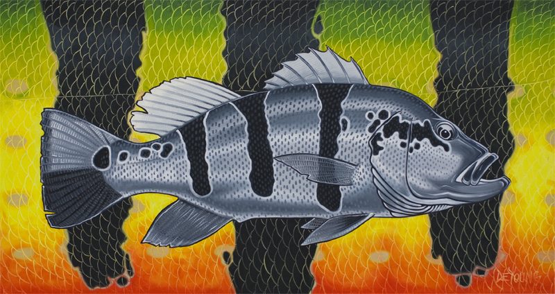 Contemporary Peacock Bass Illustration Canvas Print