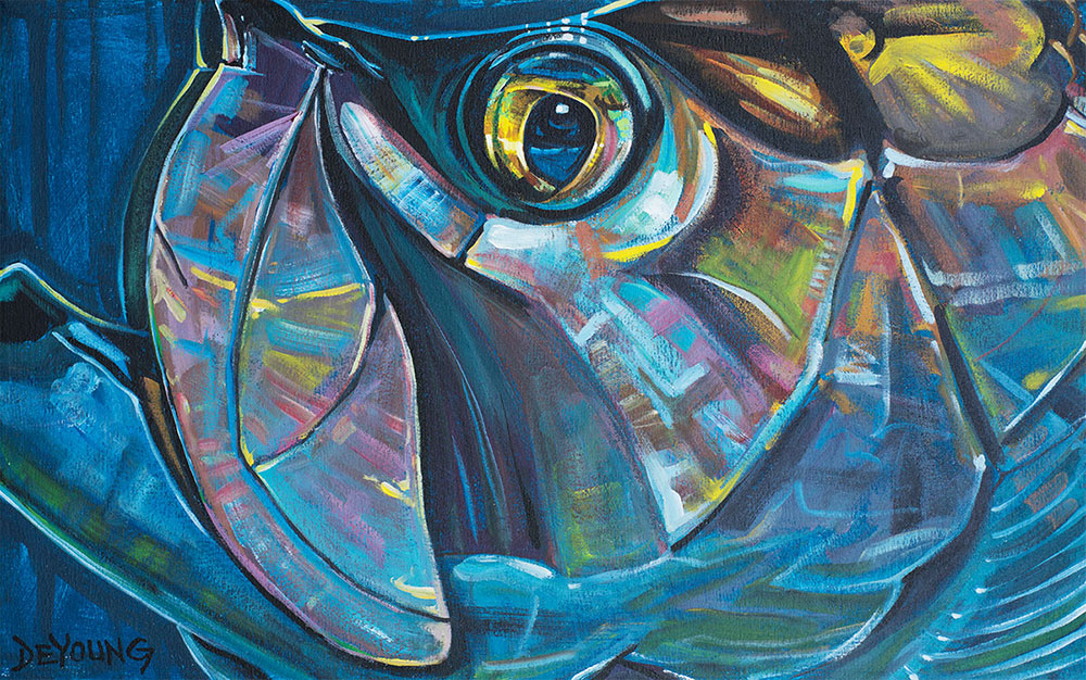 Abstract Fish Face Canvas Prints